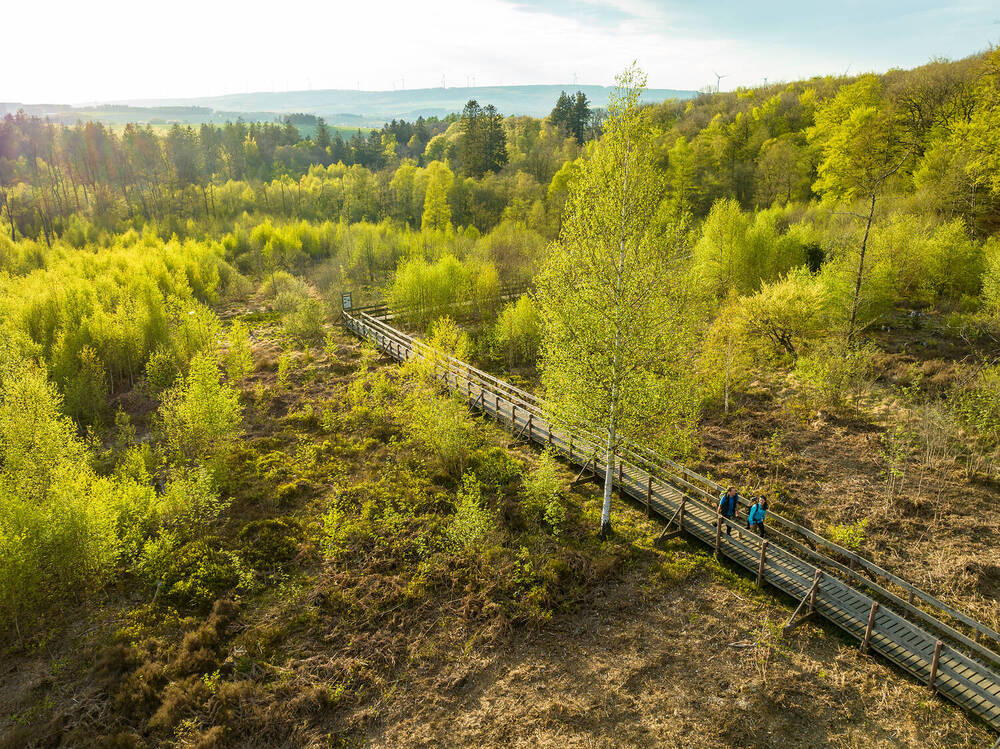 Natur-Region